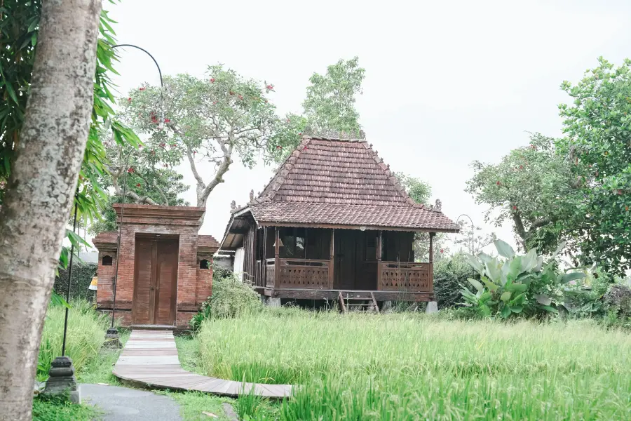 Yoga School in Rishikesh