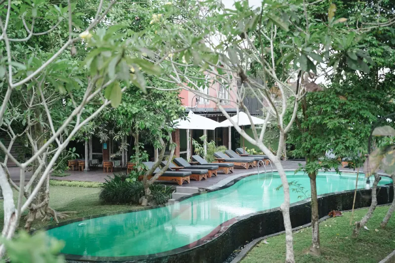 Yoga School In Rishikesh