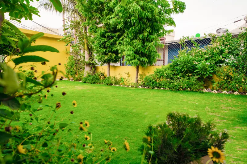 Yoga School in Rishikesh