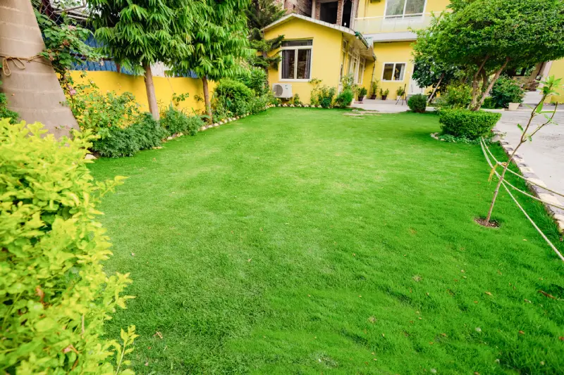 Yoga School in Rishikesh