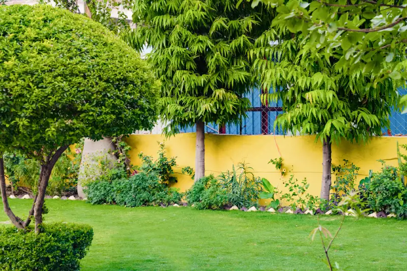 Yoga School in Rishikesh