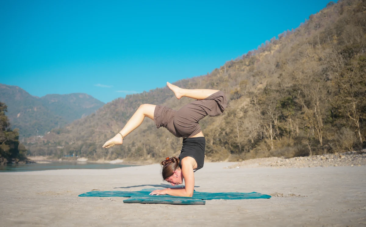 hatha yoga teacher training in india