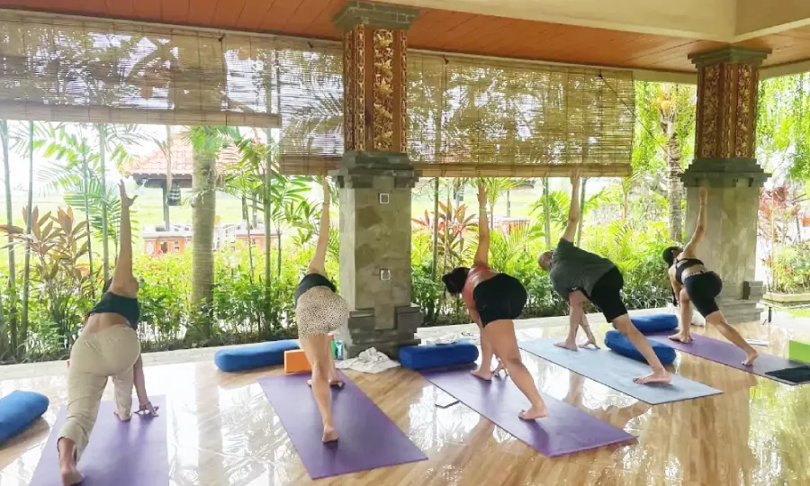 200 hour yoga ttc in india