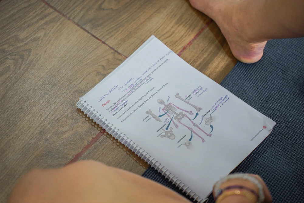 200 hour multistyle yoga teacher training course